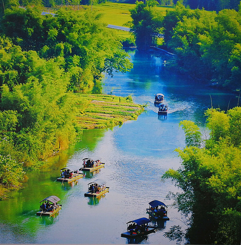 2018大新游玩攻略,大新交通/住宿/行程/美食/购物攻略,大新注意事项