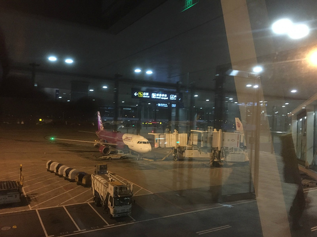 看现在虹桥机场虽也开通了部分国际航班,机场