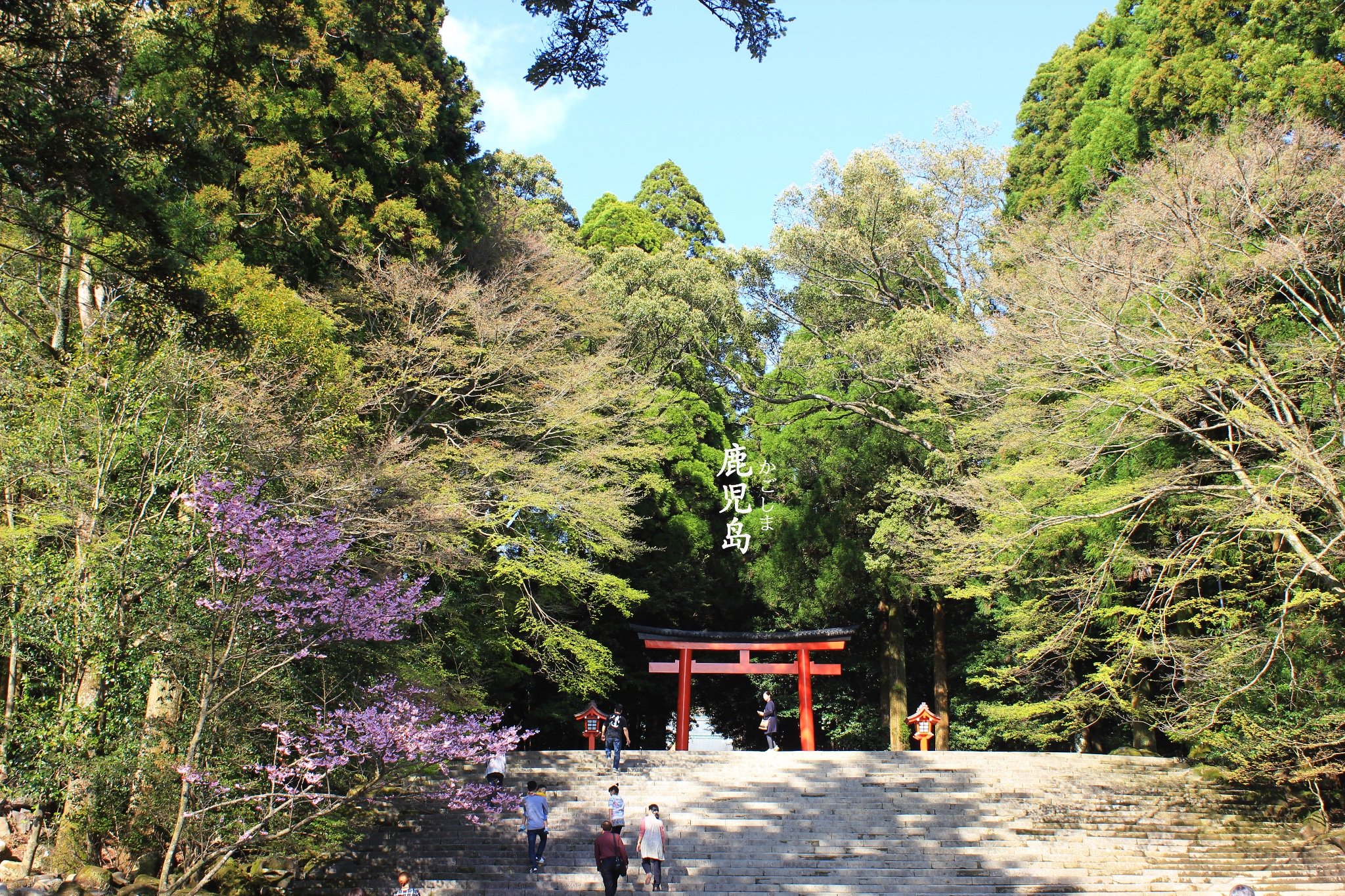 橙色的雾岛神宫风景如画地理位置优越雾岛神宫是目前我去过的这些神社