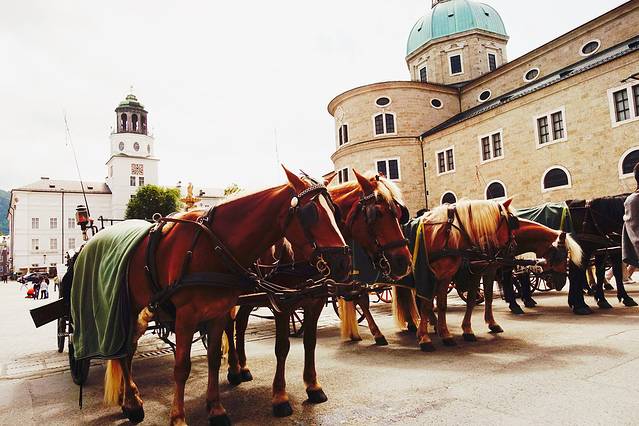 萨尔茨堡大教堂