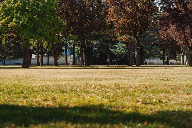 维也纳中央公墓