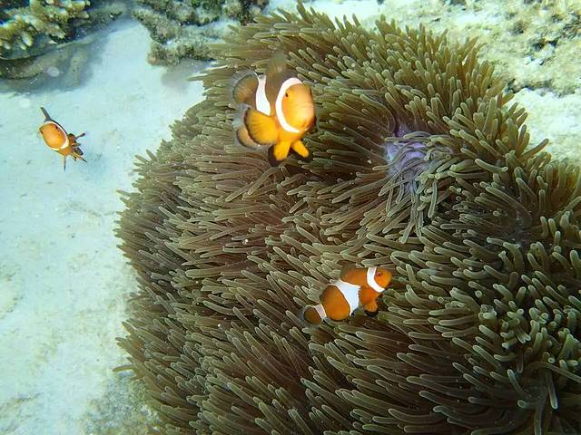 热浪岛海湾度假村