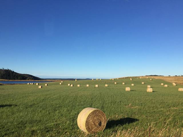 走遍澳大利亚 之 塔斯马尼亚 |Explore the poss