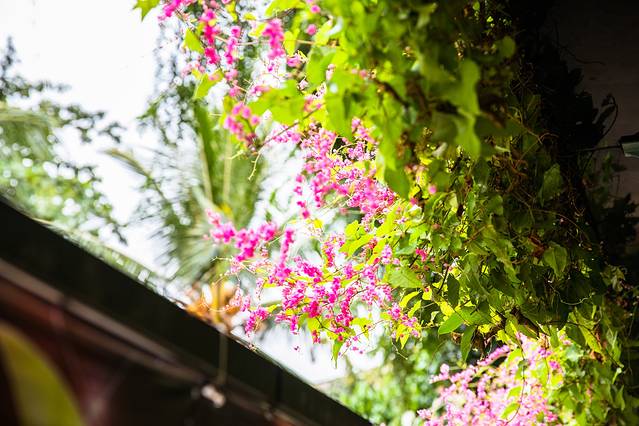 Pedro（怡丰城）