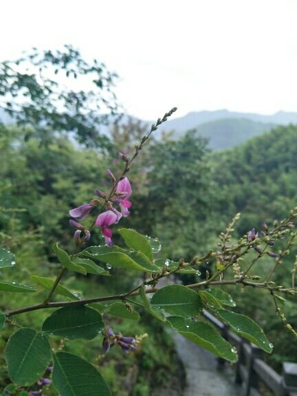 云和梯田-白银谷景区