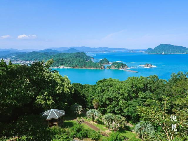 青岛亚热带植物园