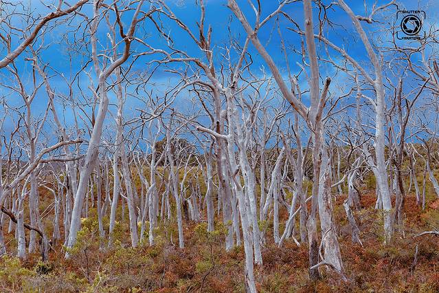 大奥特威国家公园