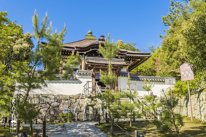 "那高台寺山后的一小片竹林也能带给你片刻的震撼，阳光从缝隙中泄出来，风吹摇曳的竹子相互敲打之声犹..._高台寺"的评论图片