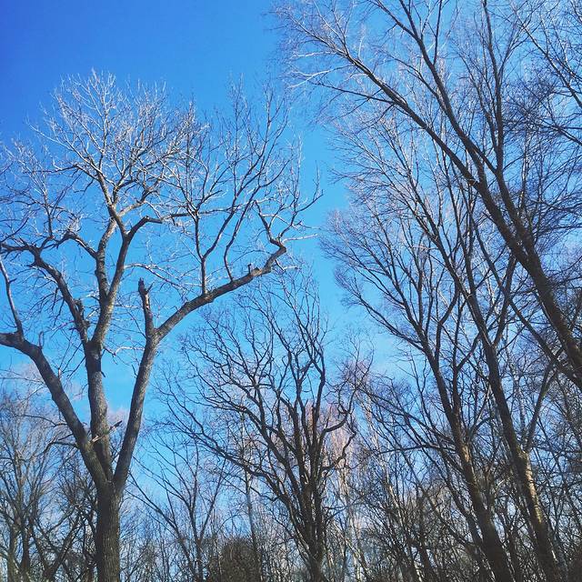 美人松雕塑公园