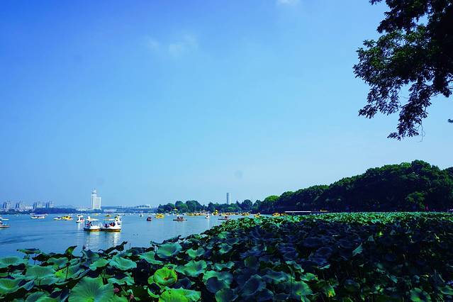 玄武湖景区