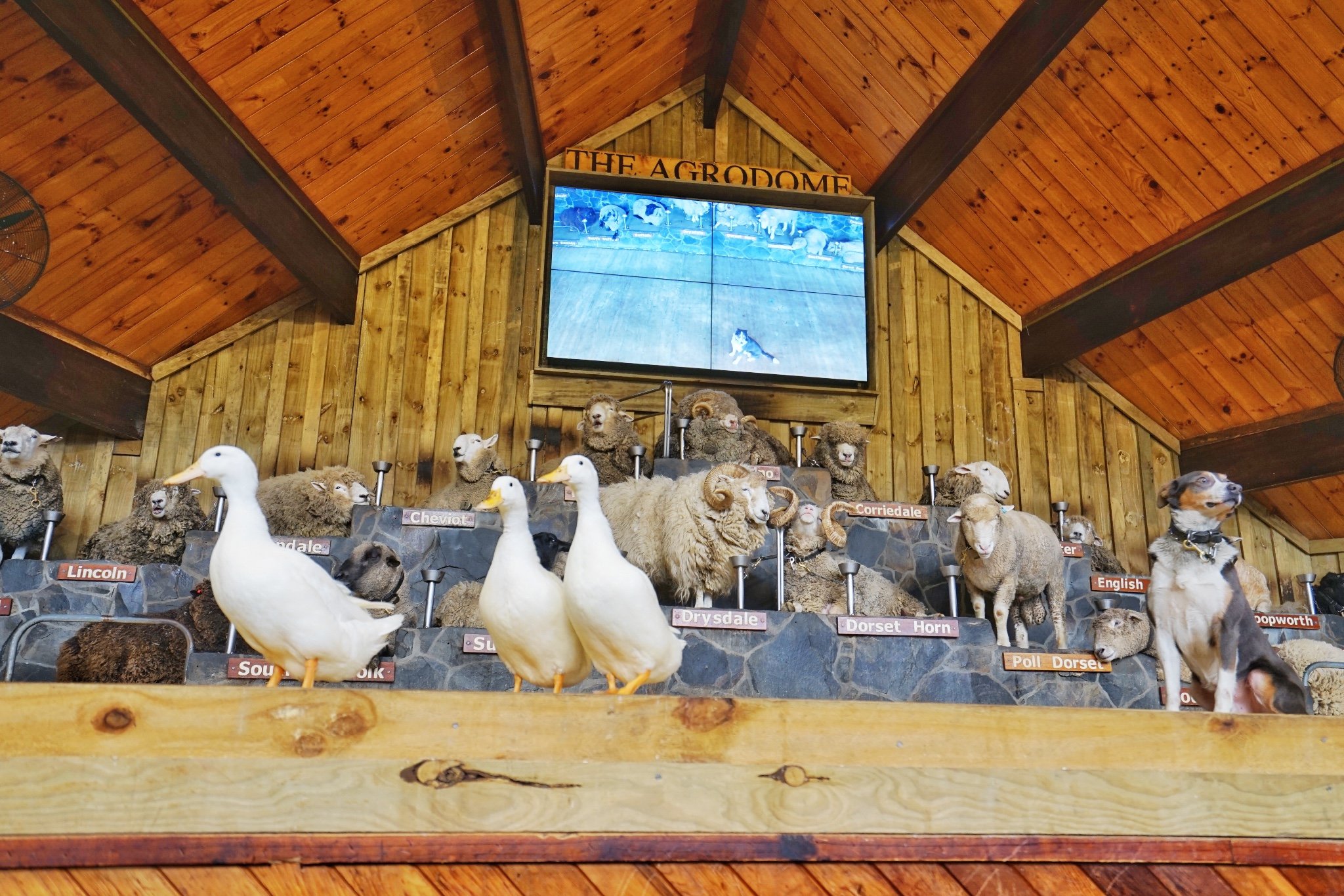 2023爱歌顿农场游玩攻略,"爱歌顿"休闲农庄是新西兰.【去哪儿攻略】