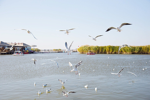 2018【乌拉特前旗旅游攻略】乌拉特前旗自助