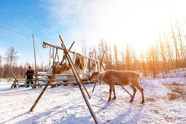布冬霞部落猎民点