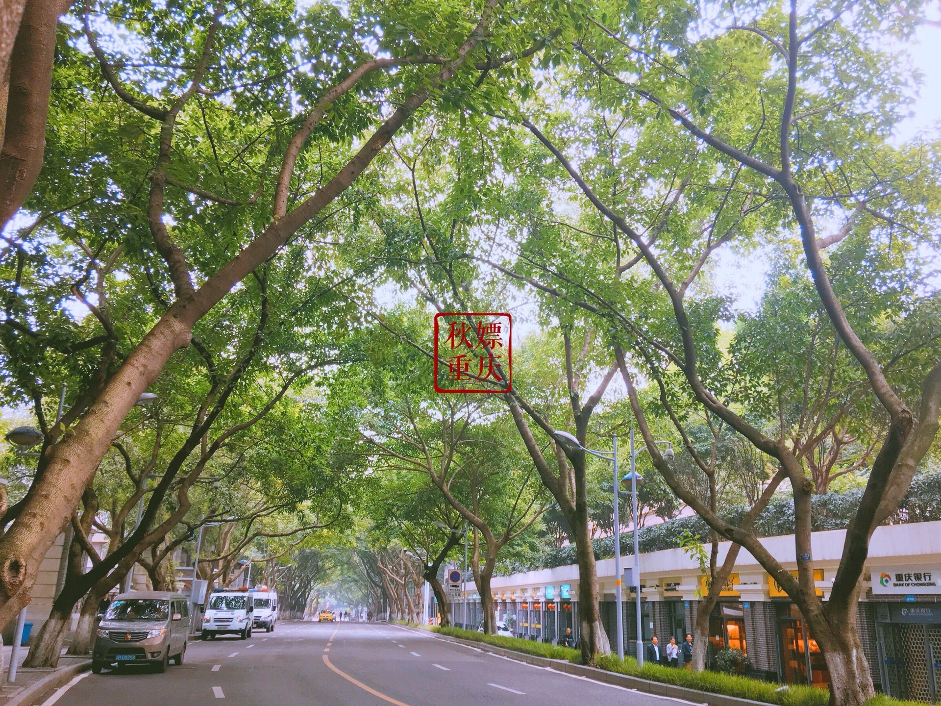 号称最美的道路中山四路