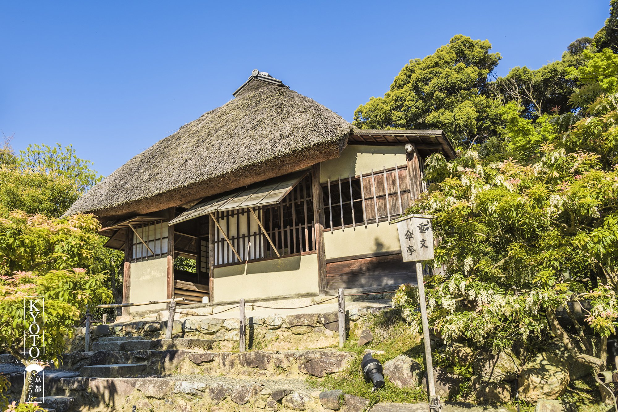 21高台寺游玩攻略 那高台寺山后的一小片竹林也 去哪儿攻略