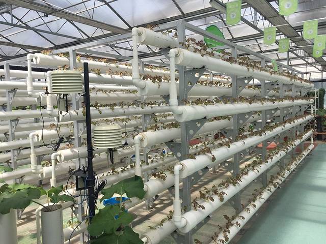 兰陵国家农业公园