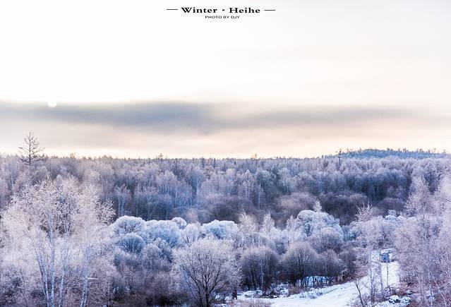 逊克县古纳温雾凇景区