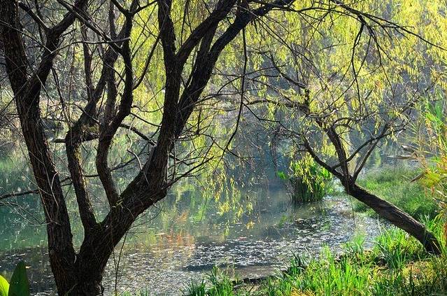 阿哈湖国家湿地公园