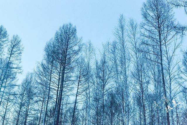 北极村圣诞滑雪场