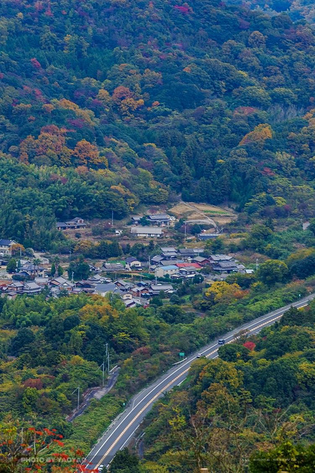 龟老山展望台图片