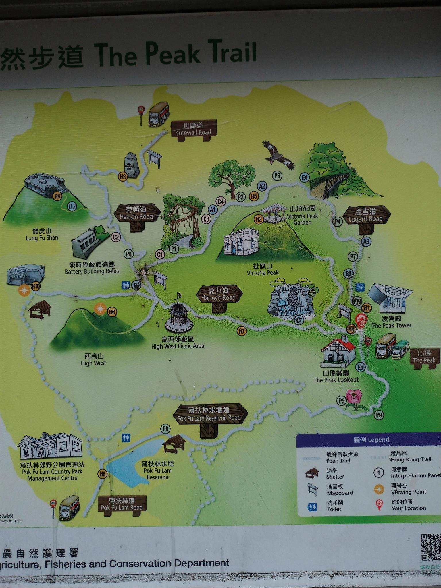 2019太平山顶_旅游攻略_门票_地址_游记点评,香港旅游景点推荐 - 去