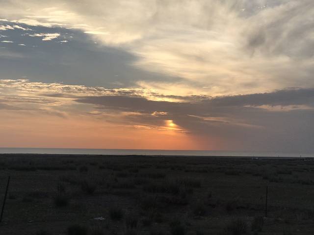 青海湖金沙湾自然保护区