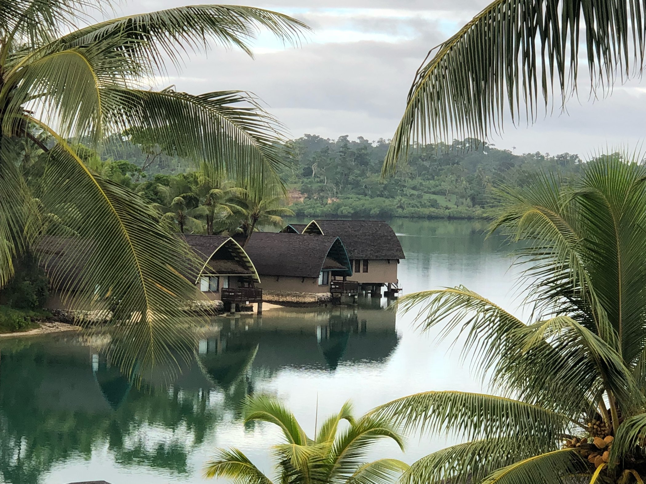 酒店环境不错 就是潮湿 这里的蚂蚁还会咬人