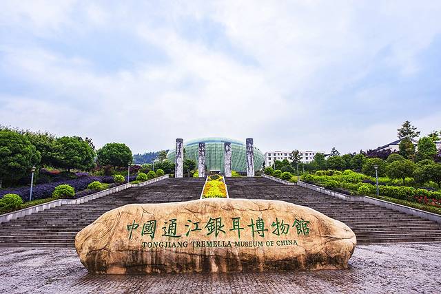 通江银耳博物馆