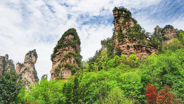 张家界国家森林公园-大氧吧广场