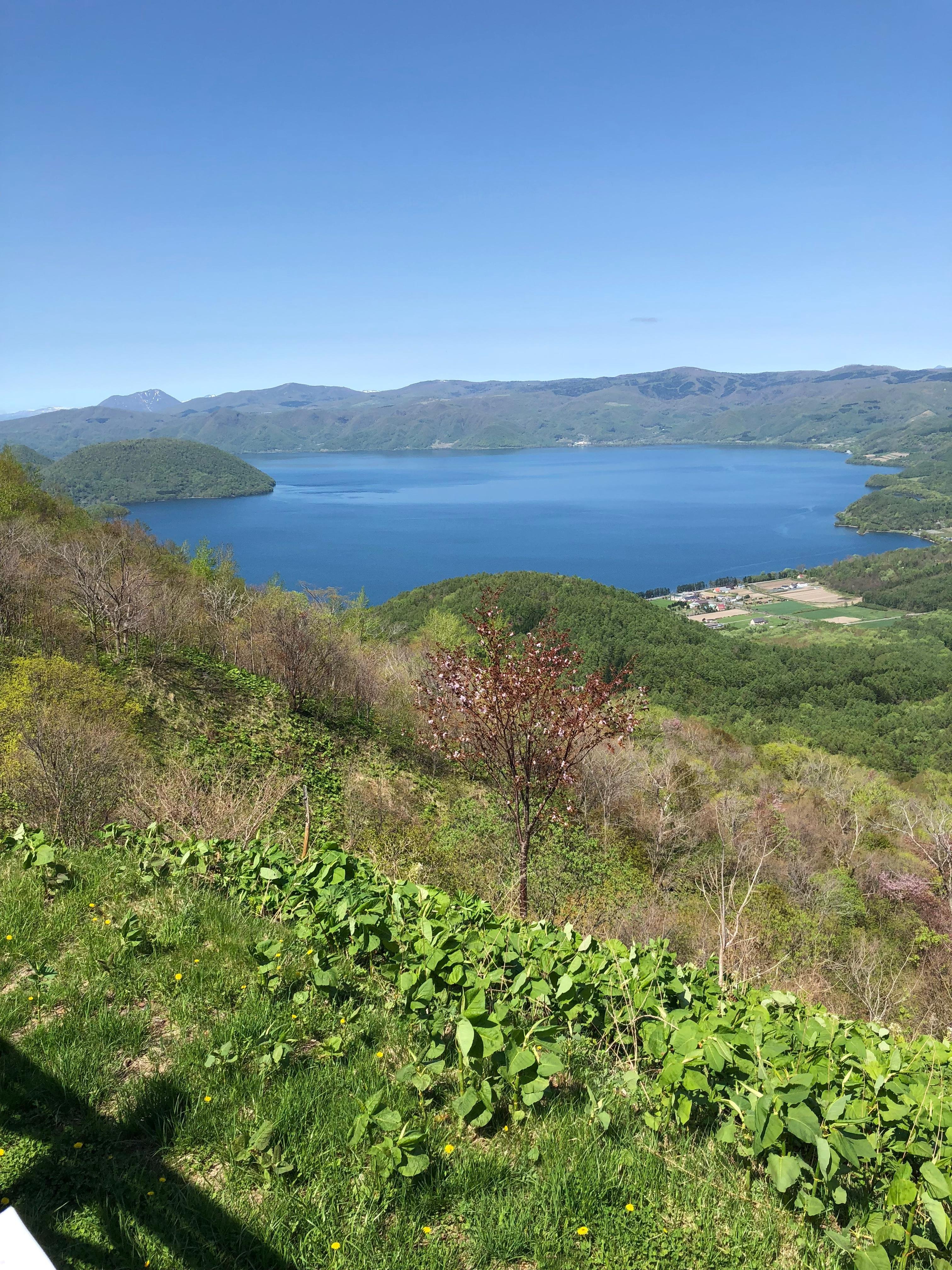 阳光明媚,景色超好景色超美美哒