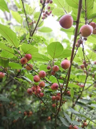 大樟溪休闲游乐区