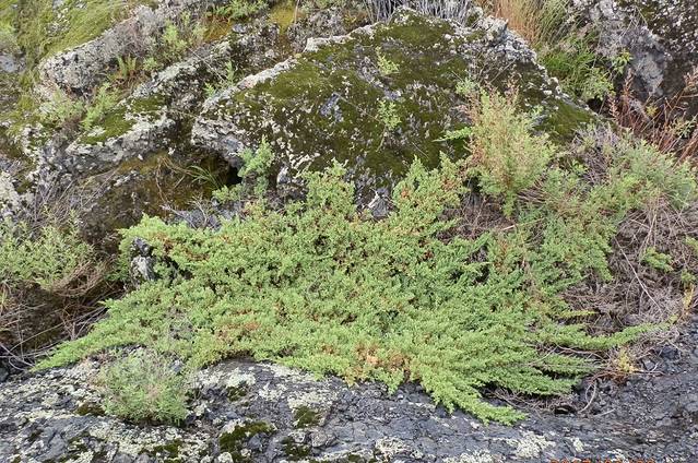 药泉景区-二龙眼泉
