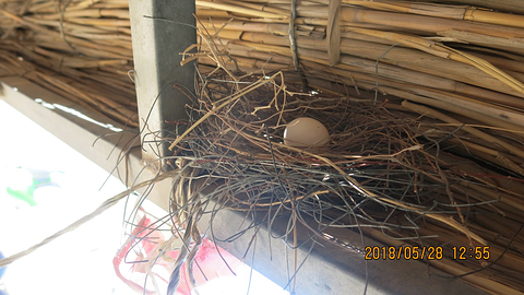 2018【乌拉特前旗旅游攻略】乌拉特前旗自助