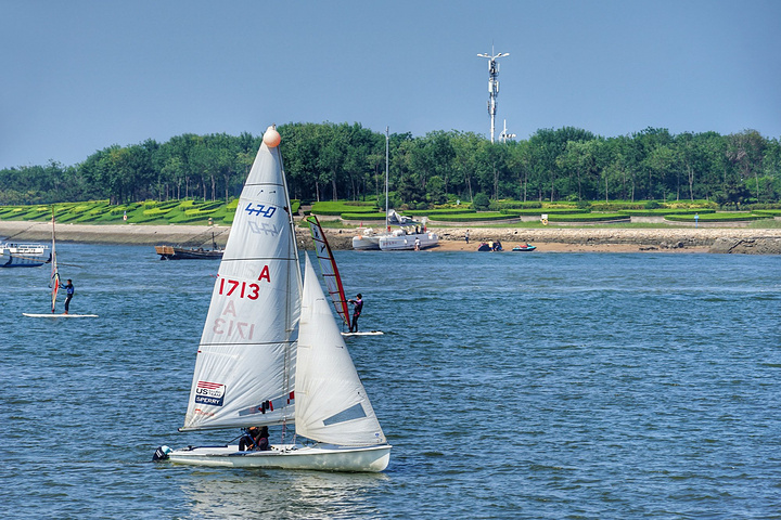 这里除了游客乘坐出海的大帆船,还有训练的小帆船,看这他们在这里扬帆