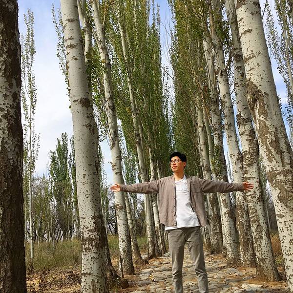 2018黄沙古渡原生态旅游区门票,银川黄沙古渡