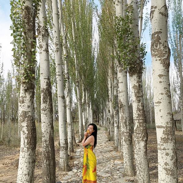 2018黄沙古渡原生态旅游区门票,银川黄沙古渡