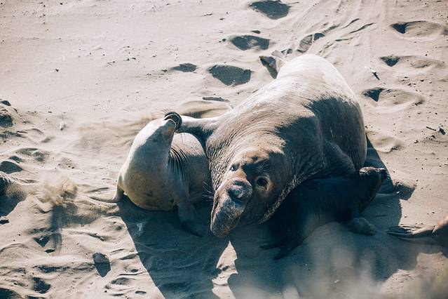 比克斯比河大桥