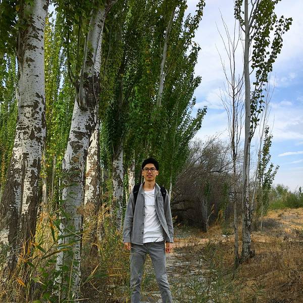 2018黄沙古渡原生态旅游区门票,银川黄沙古渡