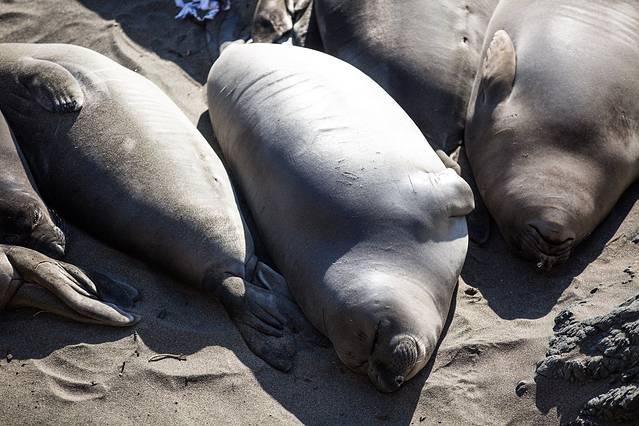 比克斯比河大桥