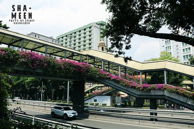 天主教广州教区露德圣母堂