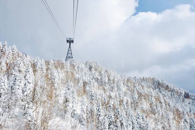 及时行乐我们在升龙道撒欢儿~(高山,新穗高,白