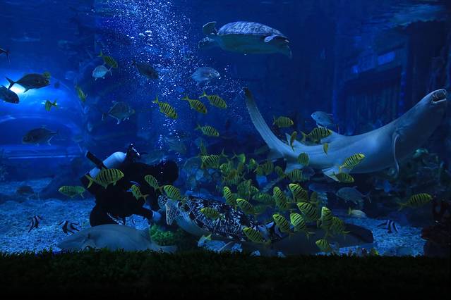 女儿城海洋公园