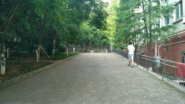 中南林业科技大学