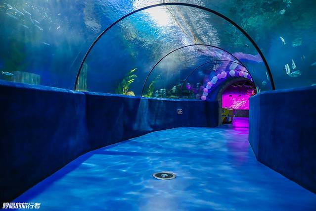 张家港梦幻海洋王国