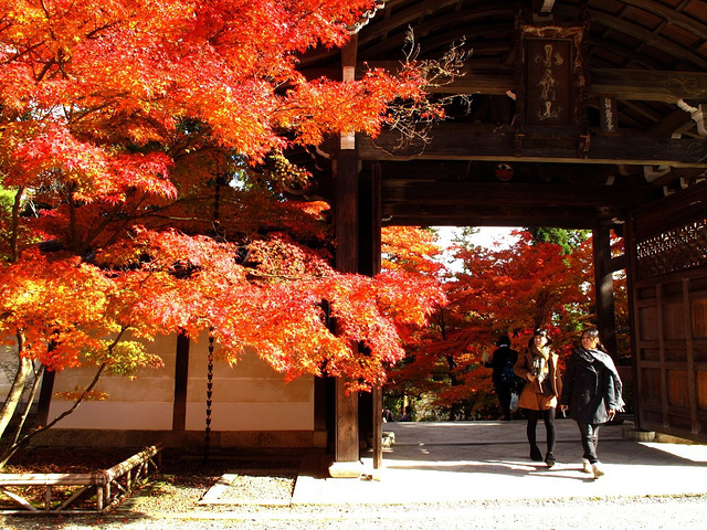 21宝严院 天龙寺 竹林小道 常寂光寺 落柿舍午餐 二尊院 宝筐院 这些地方的红叶都美到极致 可姐 宝严院 评论 去哪儿攻略