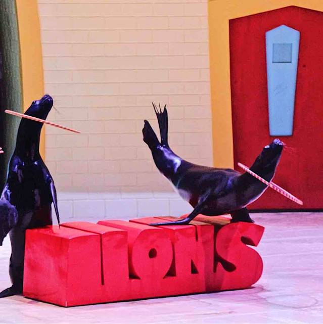 海狮剧场(入口2)