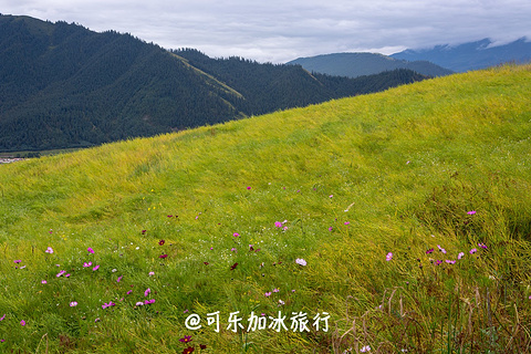 卓尔山旅游景点攻略图