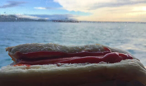 Punta Arenas port旅游景点攻略图