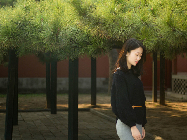 事先在故宫官网上购买了门票,因此不需要排长