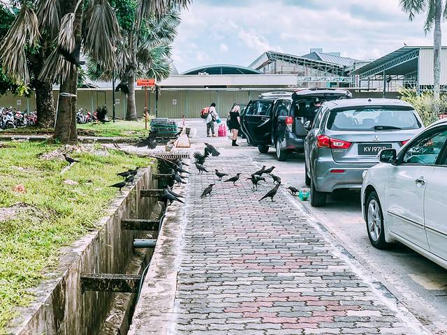 兰卡威国际机场